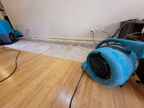 Professional Water Damage Repair technician working in Graham, AL
